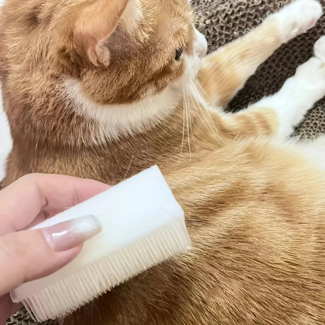 Soft Bristle Cat Tongue Sensory Brush