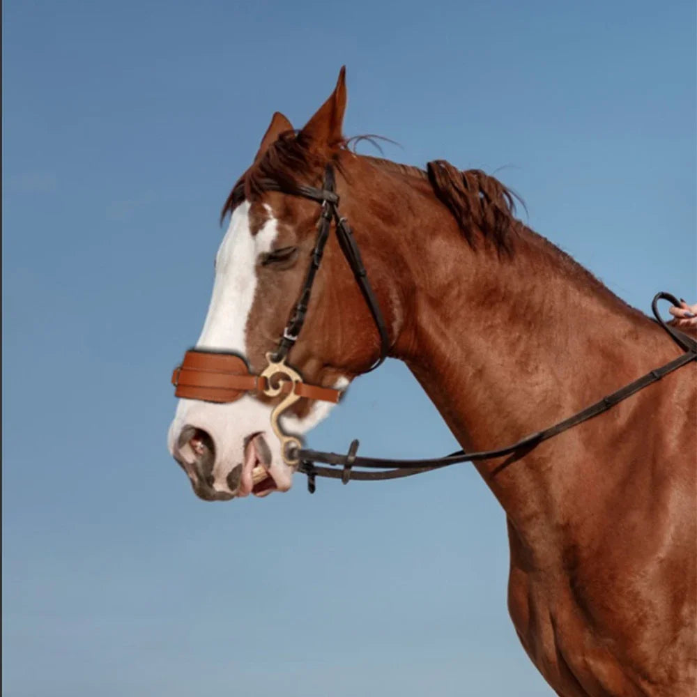 Comfortable Horse Halters