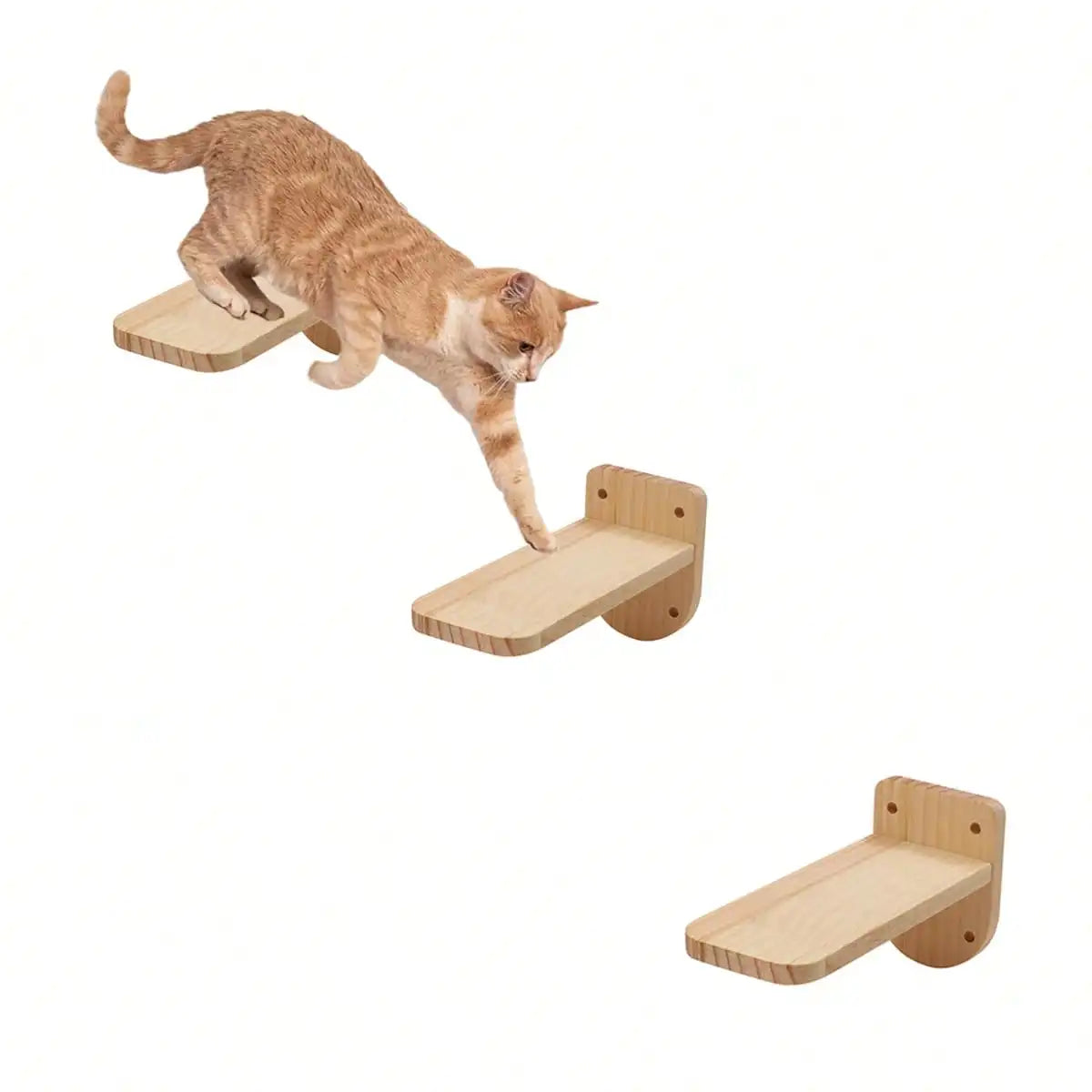 Cat Wall Mounted Climbing Ladder