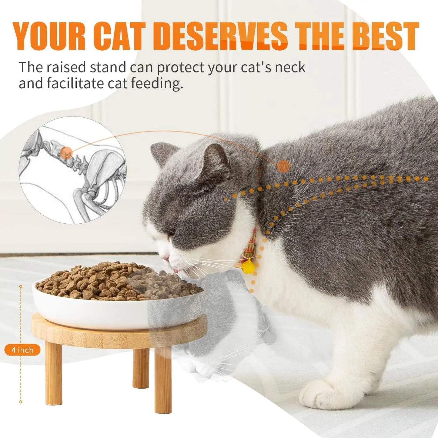 Elevated Ceramic Cat Bowls with Bamboo Stand