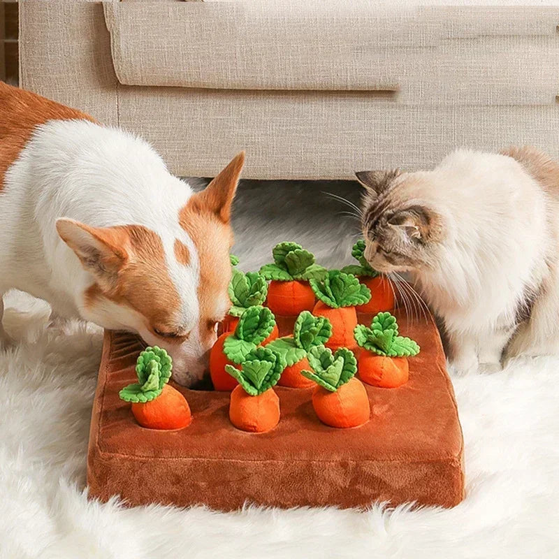 Innovative Plush Dog Toy