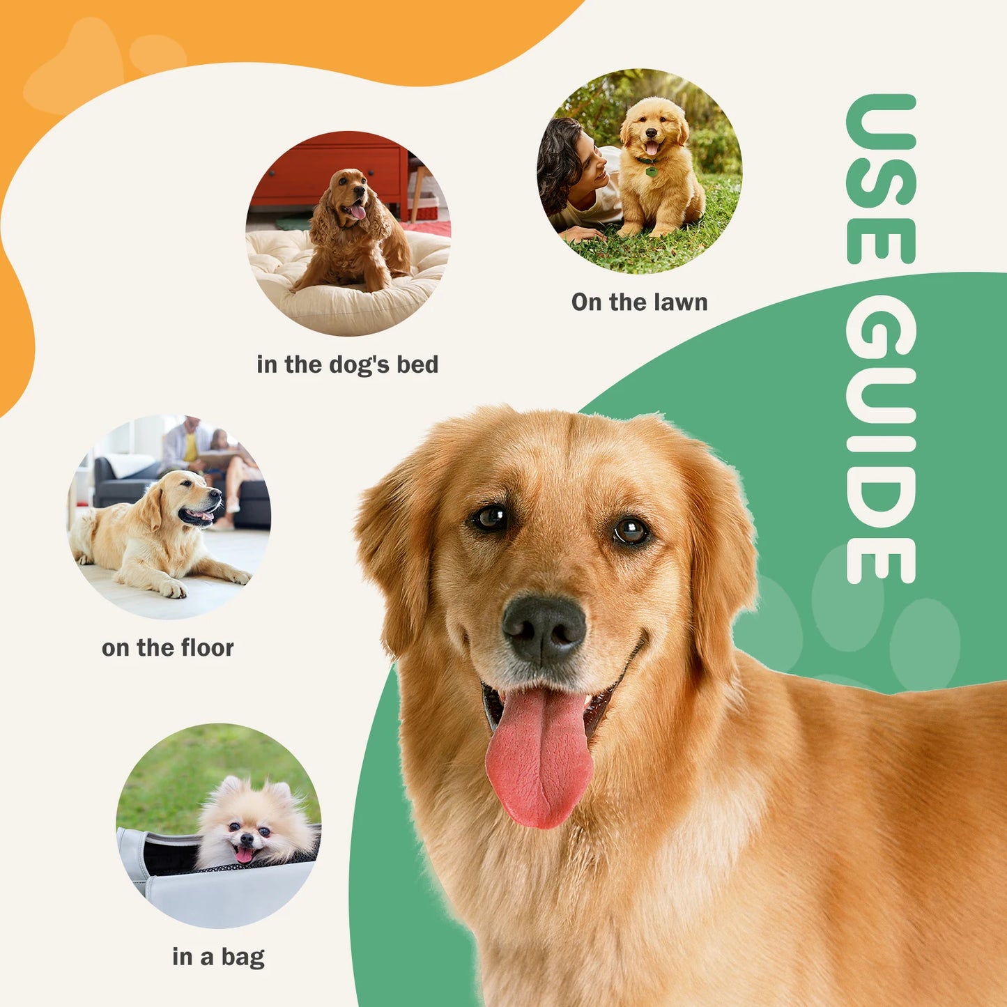Disposable Pet Training Pads