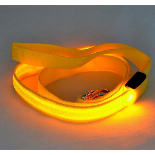 Luminous Pet Safety Leash