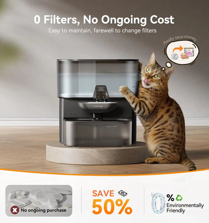 Cordless Pet Water Fountain with Wastewater Separation.