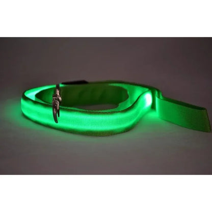 Luminous Pet Safety Leash