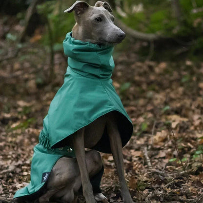Waterproof Dog Raincoat for Outdoor Walking