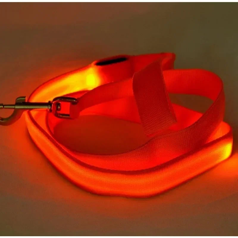 Luminous Pet Safety Leash