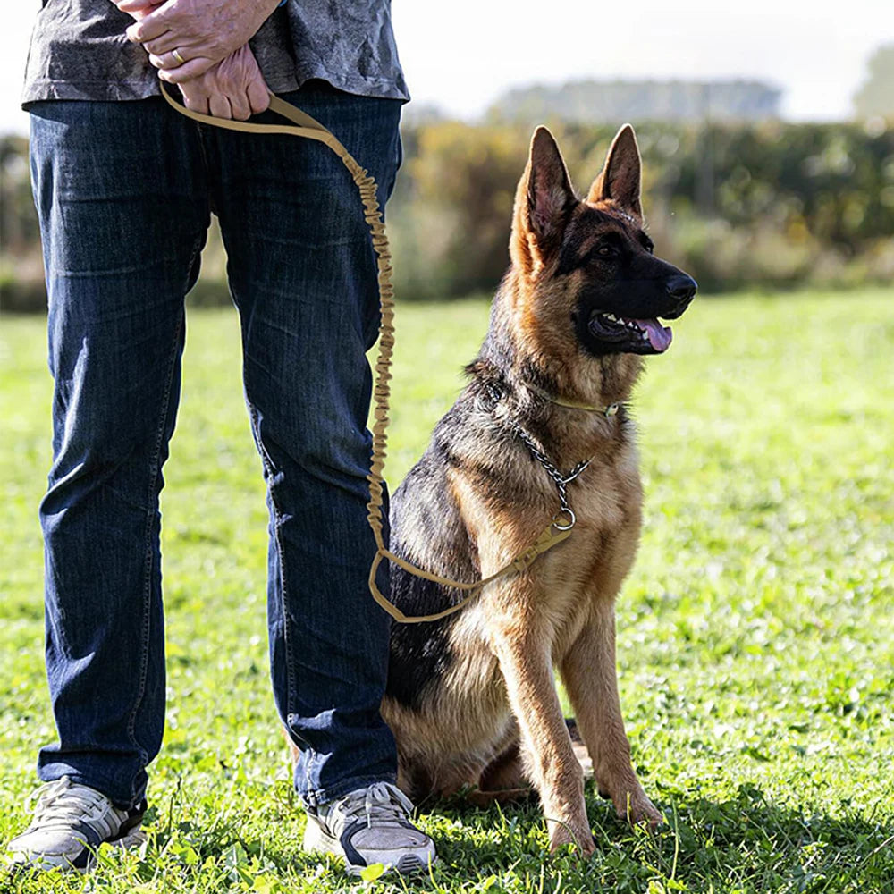 Adjustable Quick Release Dog Leash with Control Handle