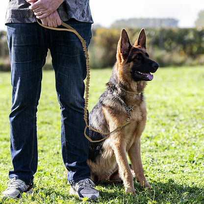 Adjustable Quick Release Dog Leash with Control Handle