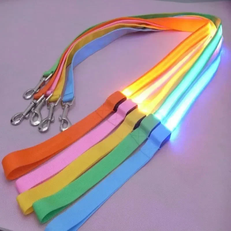 Luminous Pet Safety Leash