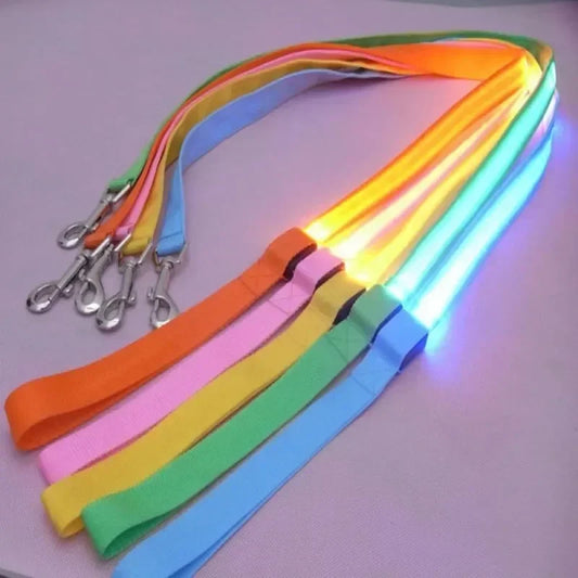 Luminous Pet Safety Leash